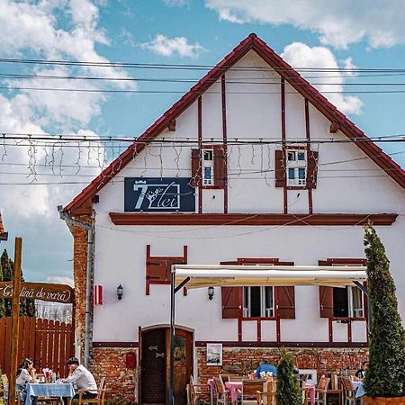 Pensiunea 7 Tei Michelsberg Exterior foto
