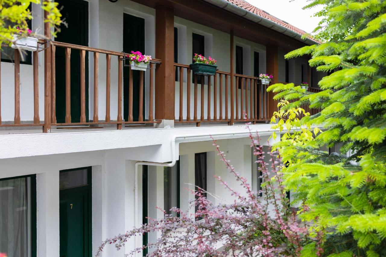 Pensiunea 7 Tei Michelsberg Exterior foto