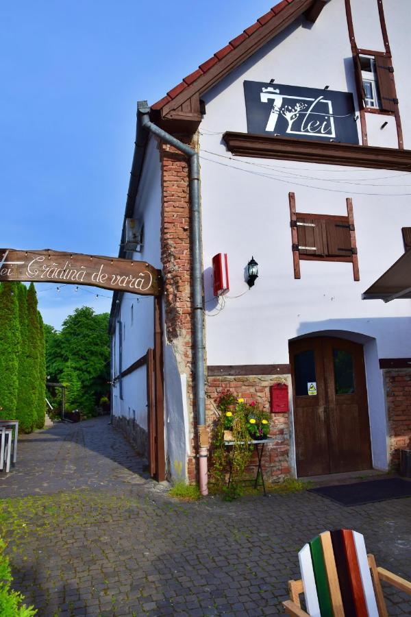 Pensiunea 7 Tei Michelsberg Exterior foto