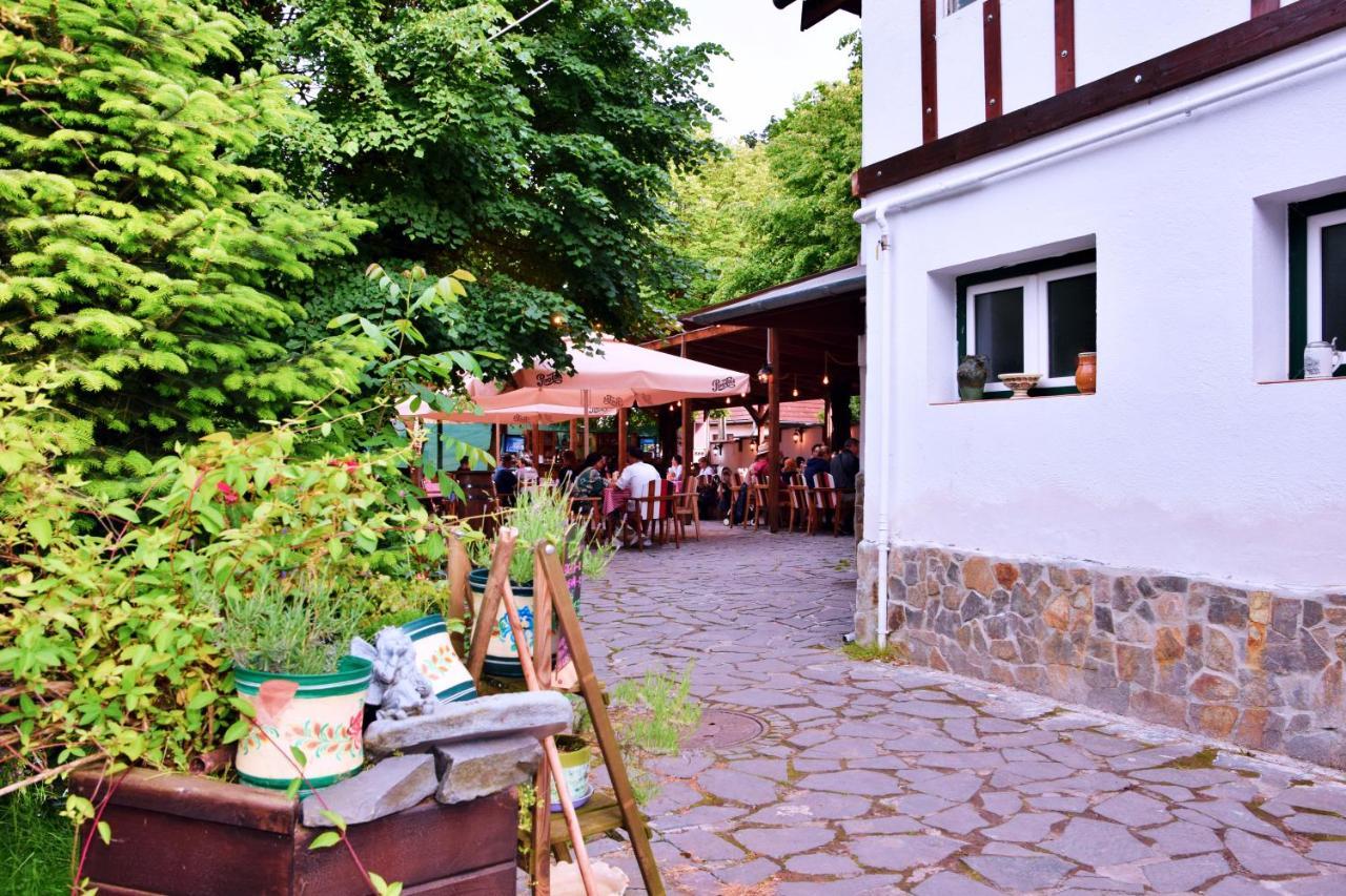 Pensiunea 7 Tei Michelsberg Exterior foto