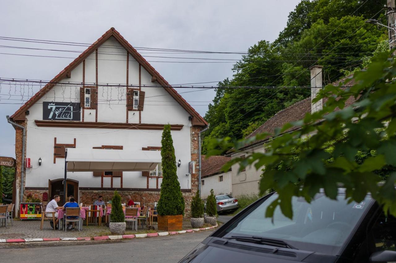 Pensiunea 7 Tei Michelsberg Exterior foto