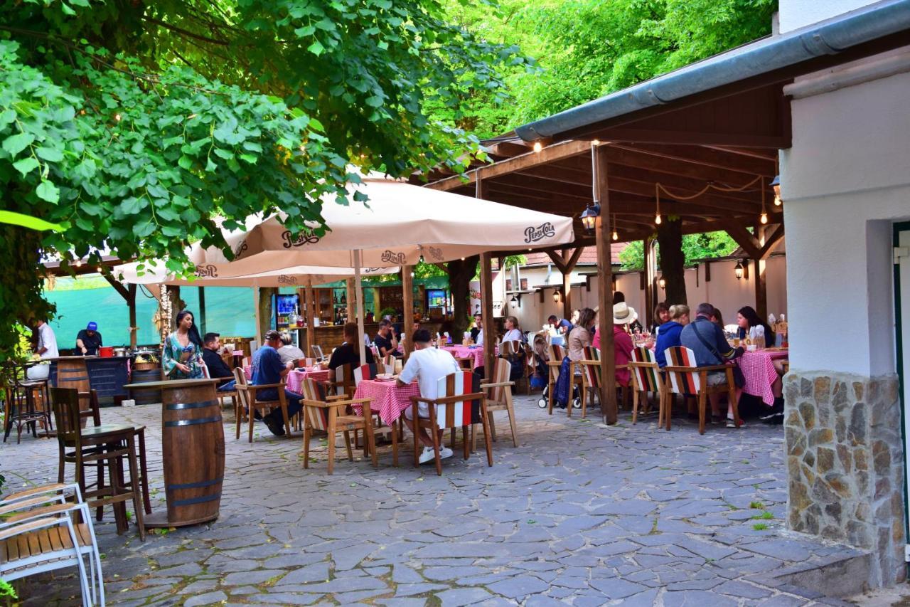 Pensiunea 7 Tei Michelsberg Exterior foto