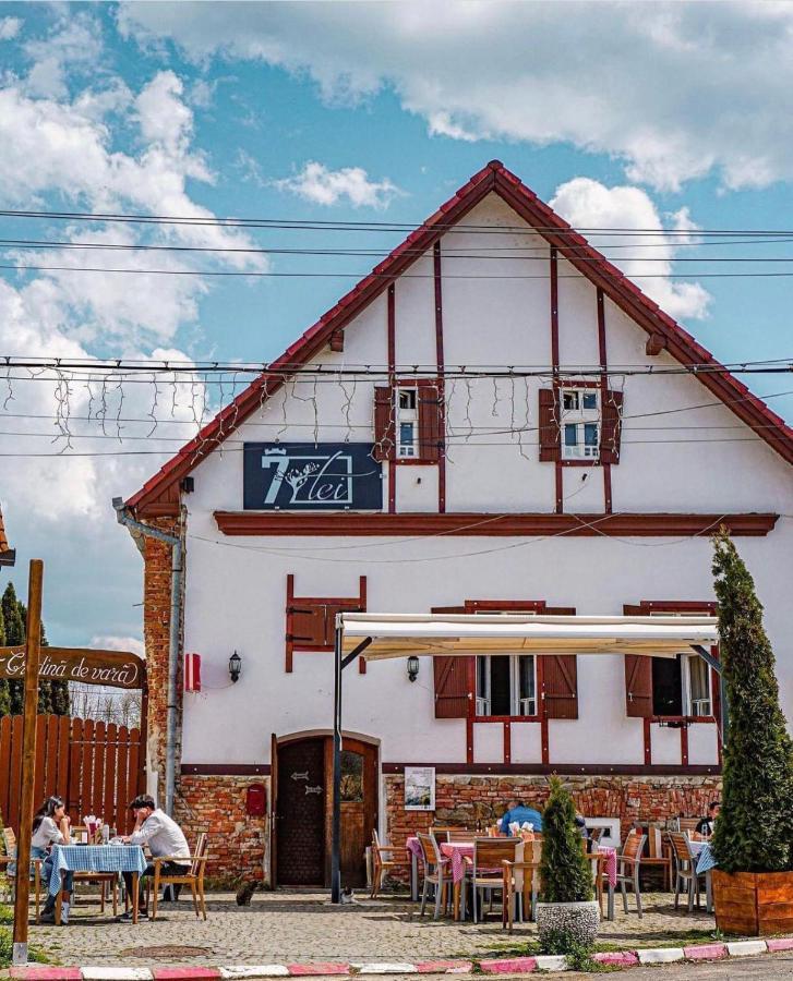 Pensiunea 7 Tei Michelsberg Exterior foto